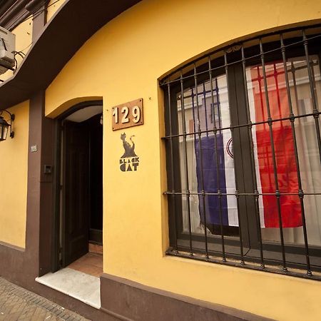 Black Cat Hostel Asunción Eksteriør bilde