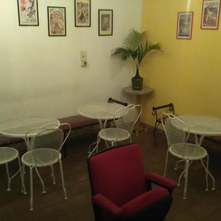 Black Cat Hostel Asunción Eksteriør bilde