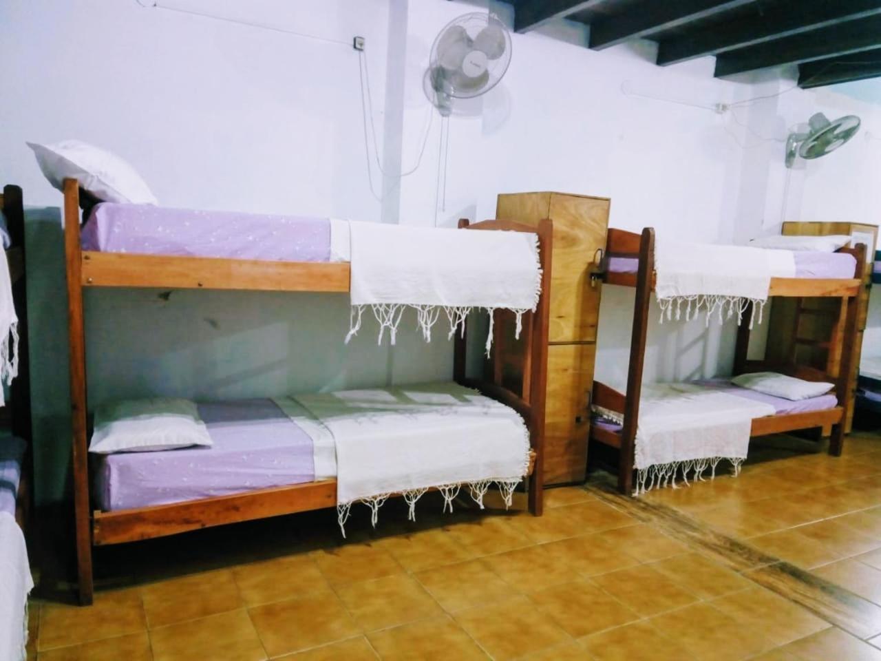 Black Cat Hostel Asunción Eksteriør bilde