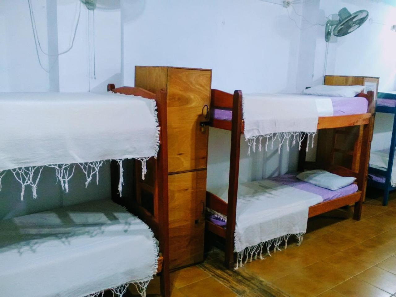 Black Cat Hostel Asunción Eksteriør bilde